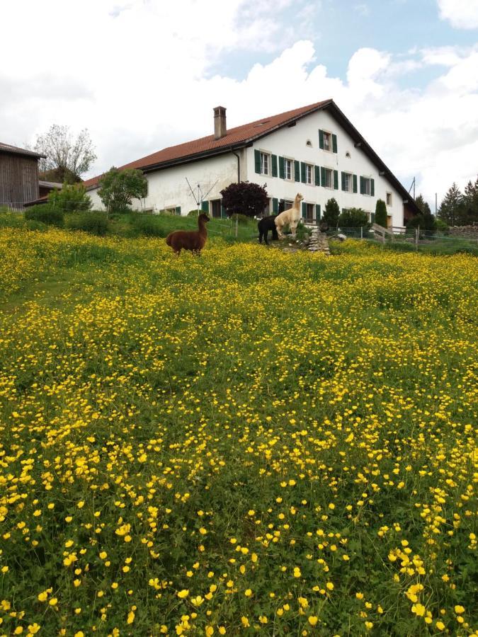 Ferme O'Clés Apartman Le Peuchapatte Kültér fotó